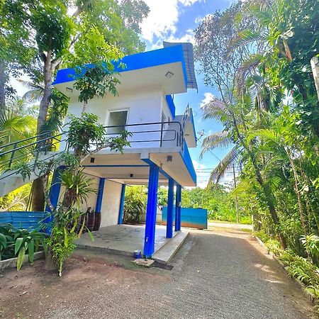 Jungle Fence Bed & Breakfast Bentota Luaran gambar