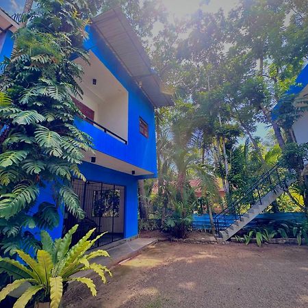 Jungle Fence Bed & Breakfast Bentota Luaran gambar