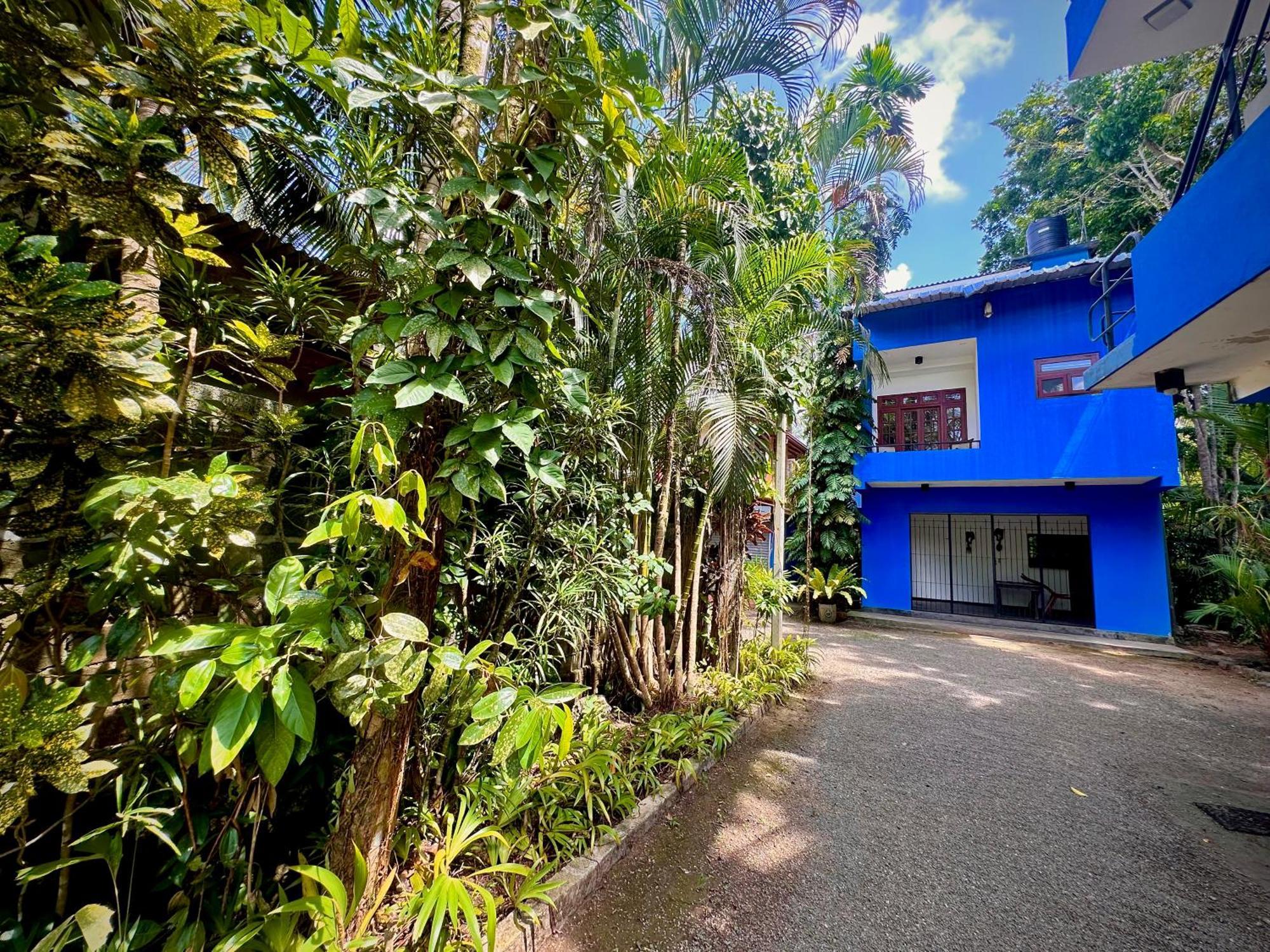 Jungle Fence Bed & Breakfast Bentota Luaran gambar