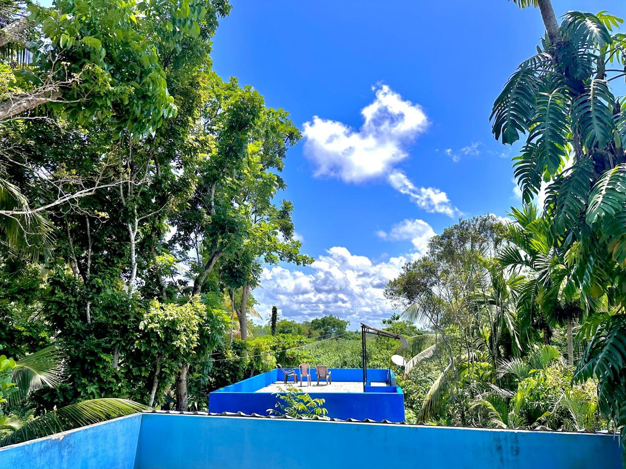 Jungle Fence Bed & Breakfast Bentota Luaran gambar